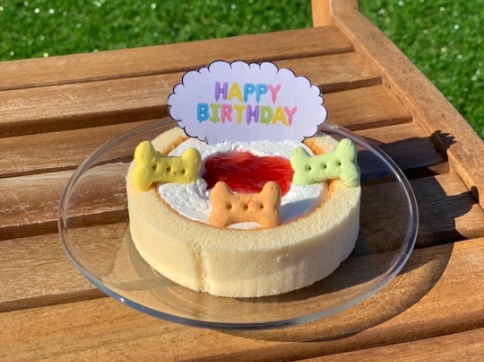 犬用のお誕生日ケーキ
